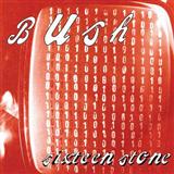 Bush 'Everything Zen' Guitar Tab