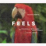Calvin Harris 'Feels (feat. Pharrell Williams, Katy Perry & Big Sean)' Piano, Vocal & Guitar Chords (Right-Hand Melody)