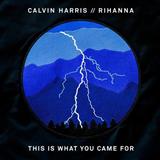 Calvin Harris 'This Is What You Came For (feat. Rihanna)' Piano, Vocal & Guitar Chords (Right-Hand Melody)
