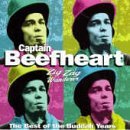 Captain Beefheart 'I'm Glad' Guitar Chords/Lyrics