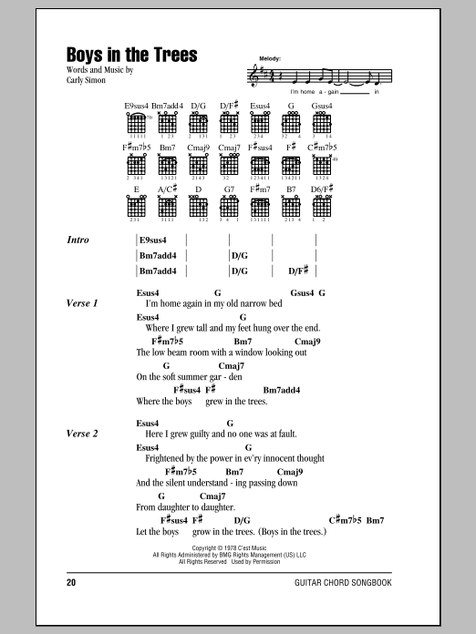 Carly Simon Boys In The Trees sheet music notes and chords arranged for Guitar Chords/Lyrics