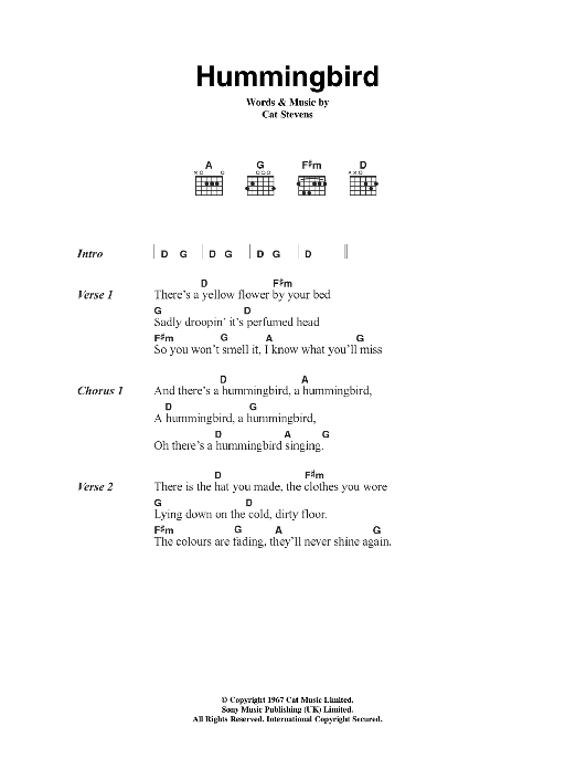 Cat Stevens Hummingbird sheet music notes and chords arranged for Guitar Chords/Lyrics