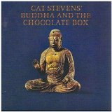Cat Stevens 'Jesus' Guitar Chords/Lyrics
