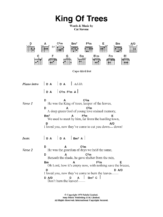 Cat Stevens King Of Trees sheet music notes and chords arranged for Guitar Chords/Lyrics