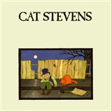 Cat Stevens 'Moonshadow' Lyrics Only