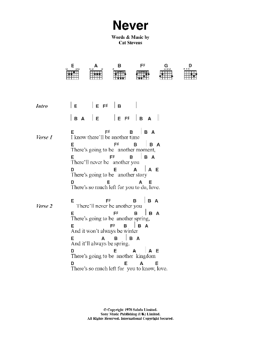 Cat Stevens Never sheet music notes and chords arranged for Guitar Chords/Lyrics