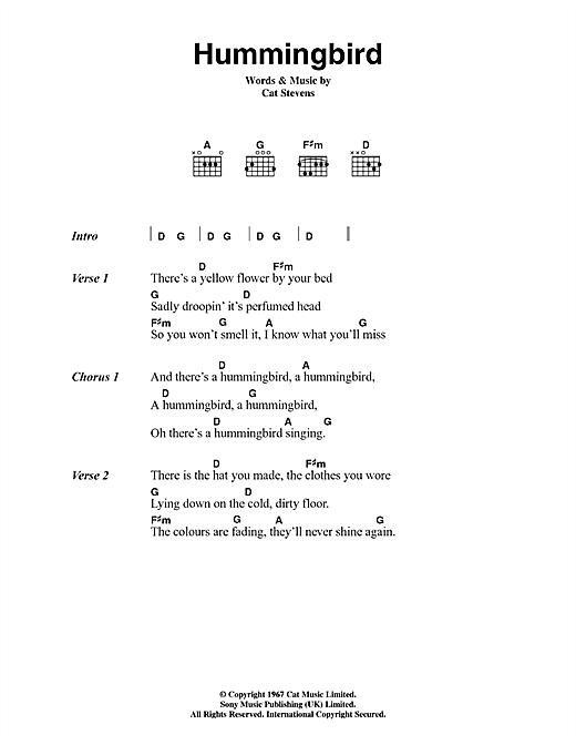 Cat Stevens Hummingbird sheet music notes and chords arranged for Guitar Chords/Lyrics
