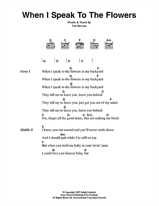 Cat Stevens When I Speak To The Flowers sheet music notes and chords arranged for Guitar Chords/Lyrics