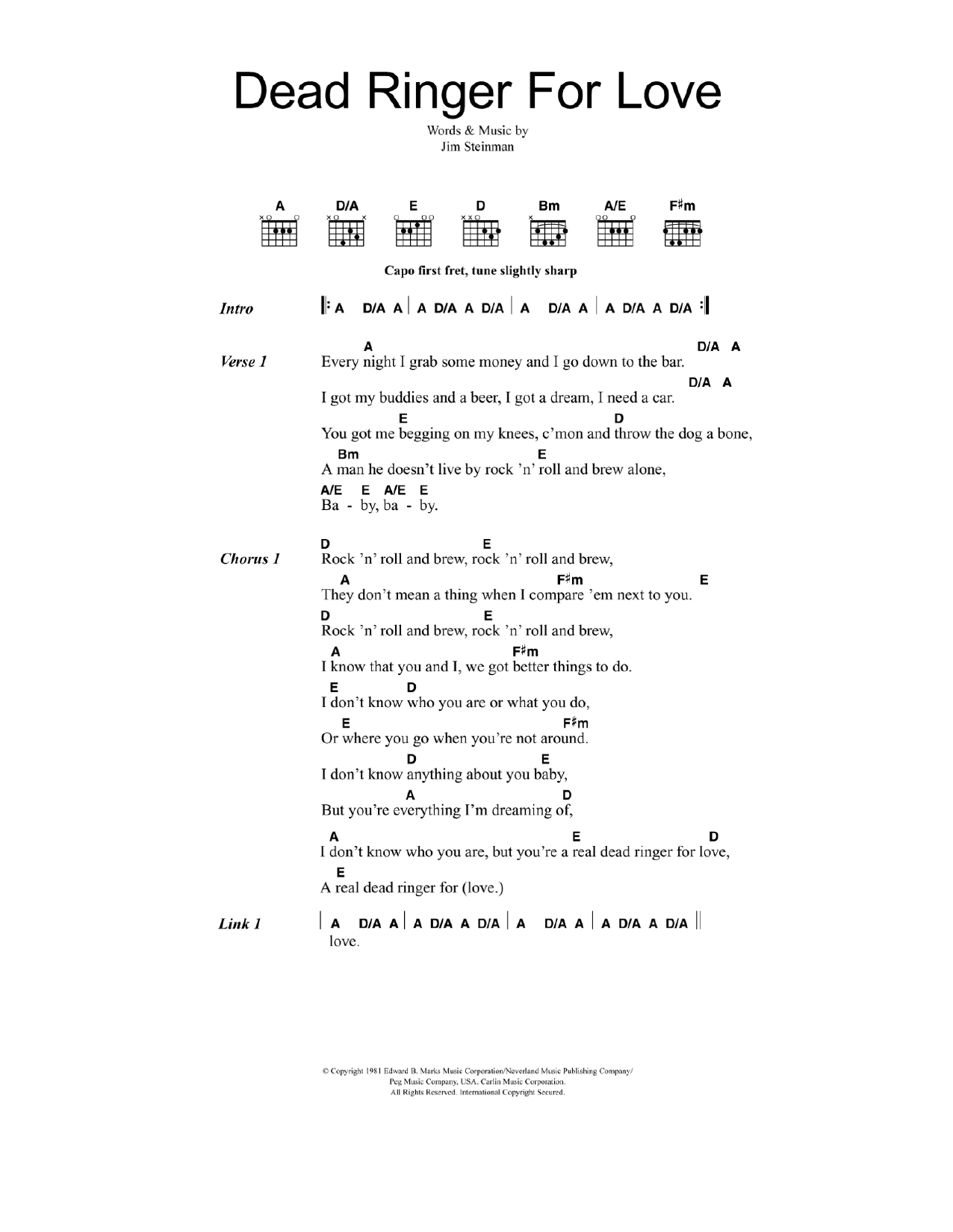 Cher Dead Ringer For Love sheet music notes and chords arranged for Guitar Chords/Lyrics