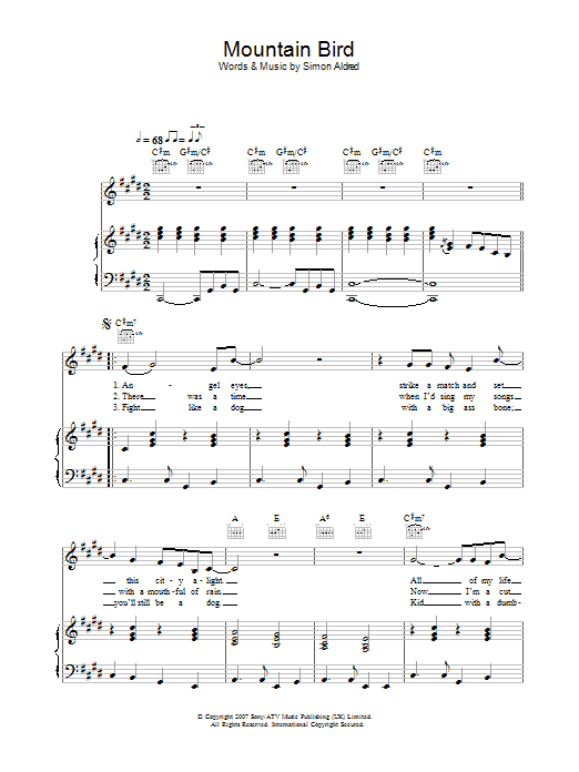 Cherry Ghost Mountain Bird sheet music notes and chords arranged for Piano, Vocal & Guitar Chords
