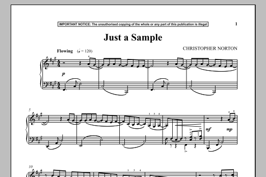 Christopher Norton Just A Sample sheet music notes and chords arranged for Piano Solo