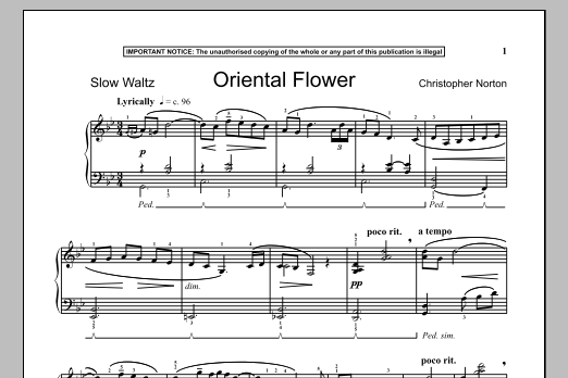 Christopher Norton Oriental Flower sheet music notes and chords arranged for Piano Solo