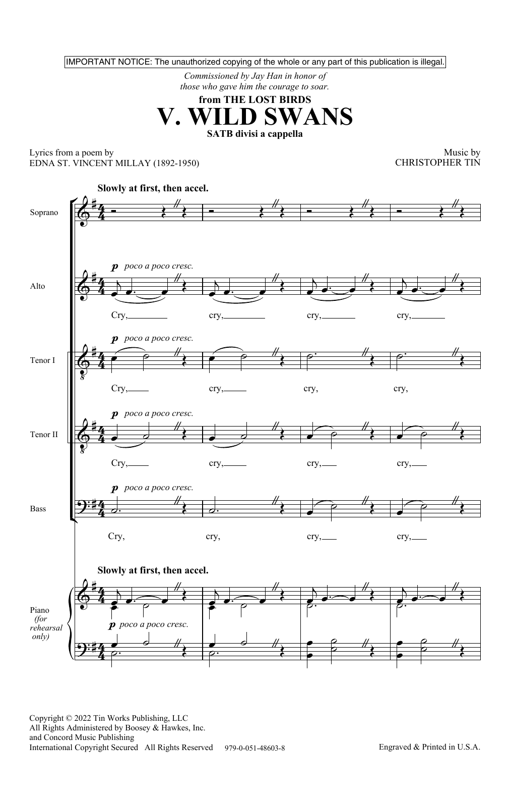 Christopher Tin Wild Swans (Movement V from The Lost Birds) sheet music notes and chords arranged for Choir