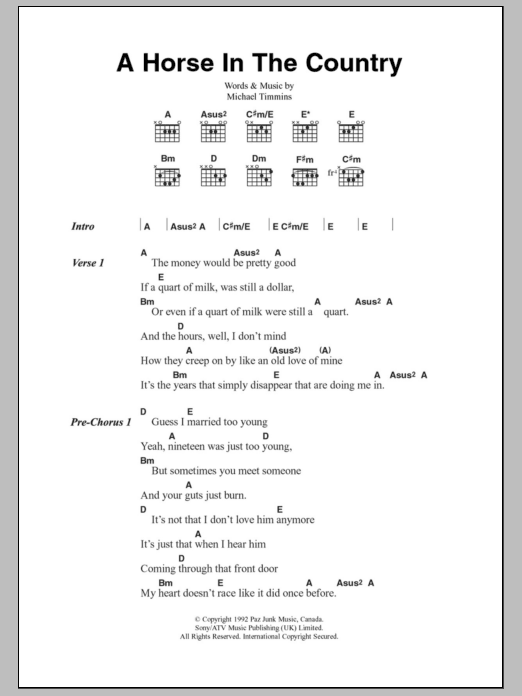 Cowboy Junkies A Horse In The Country sheet music notes and chords arranged for Guitar Chords/Lyrics