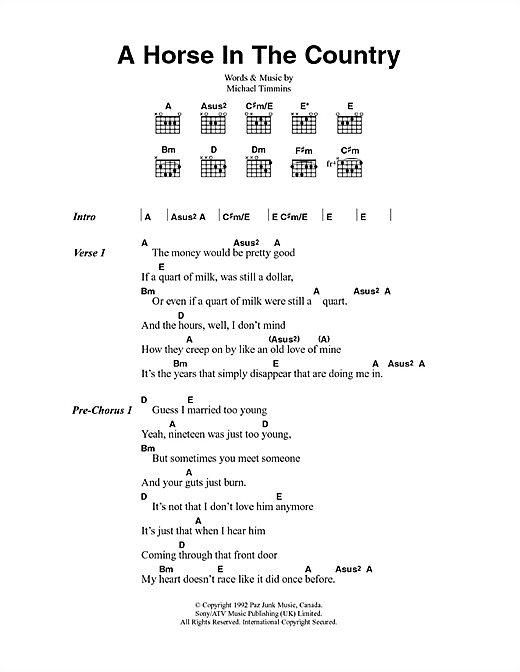 Cowboy Junkies A Horse In The Country sheet music notes and chords arranged for Guitar Chords/Lyrics