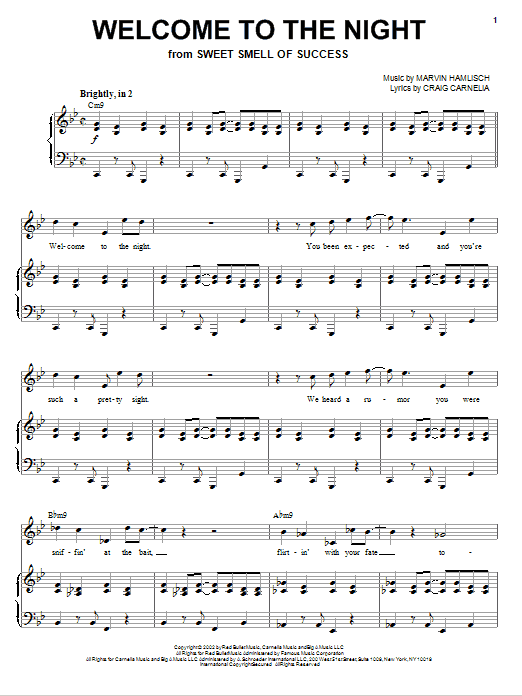 Craig Carnelia Welcome To The Night sheet music notes and chords arranged for Piano & Vocal