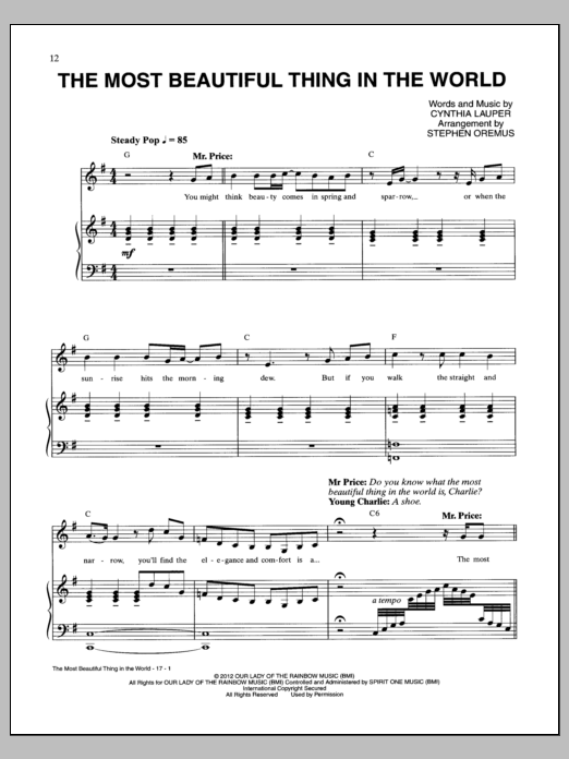 Cynthia Lauper The Most Beautiful Thing In The World sheet music notes and chords arranged for Piano & Vocal