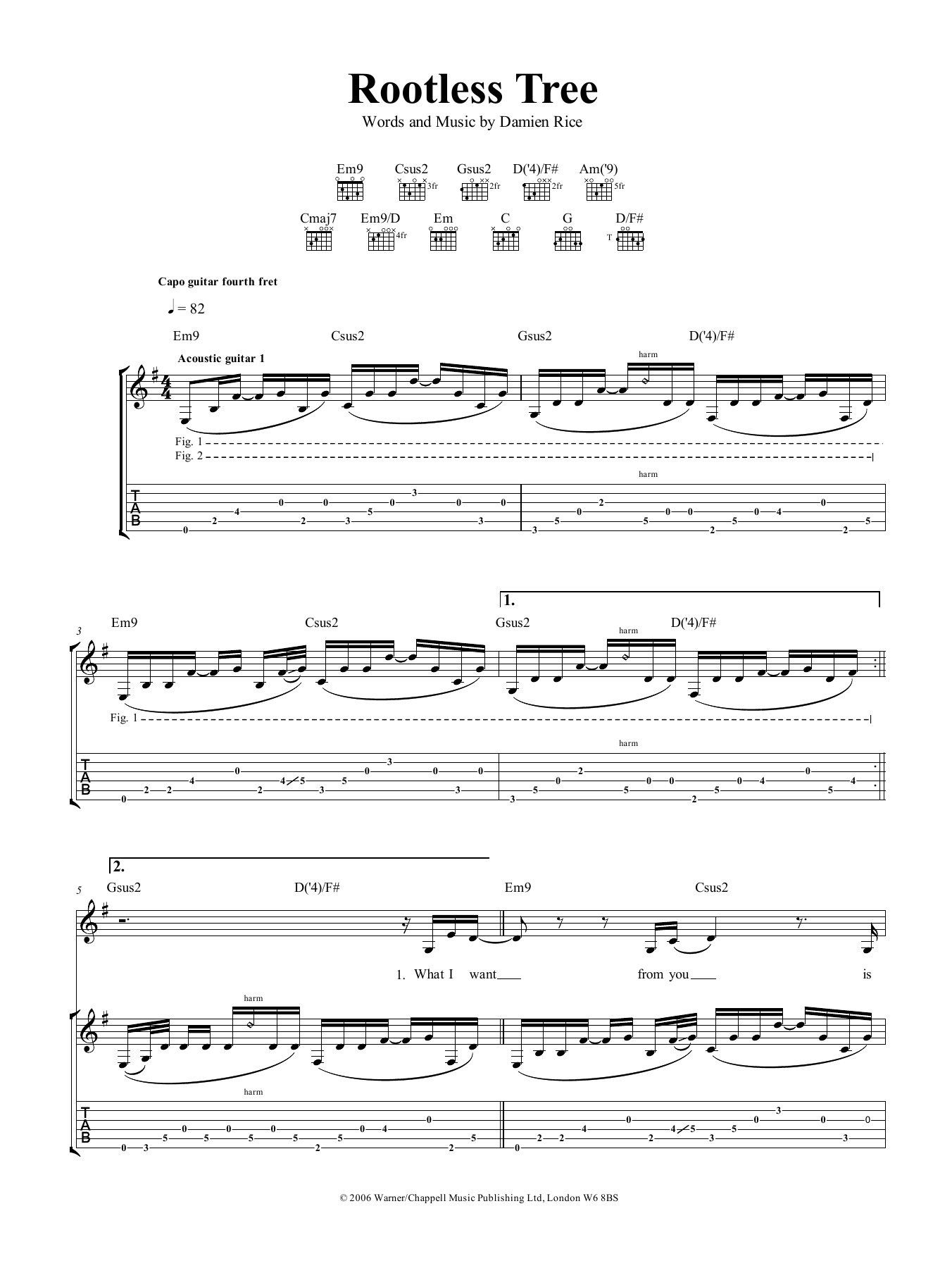 Damien Rice Rootless Tree sheet music notes and chords arranged for Guitar Tab