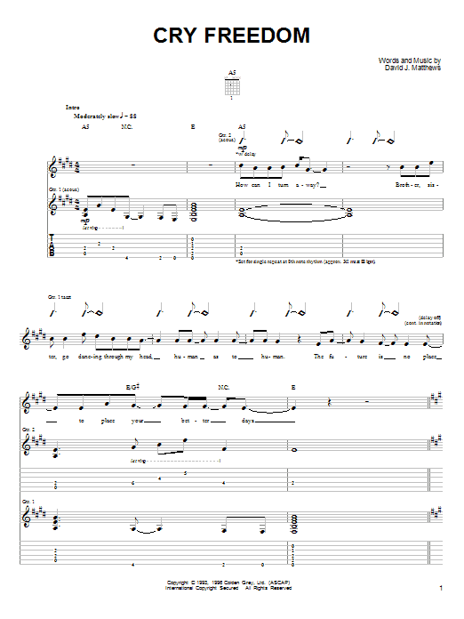 Dave Matthews & Tim Reynolds Cry Freedom sheet music notes and chords arranged for Guitar Tab