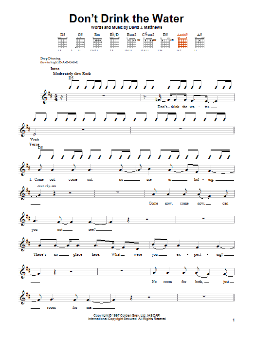 Dave Matthews Band Don't Drink The Water sheet music notes and chords arranged for Easy Guitar