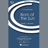 David Brunner 'Born Of The Sun' TBB Choir