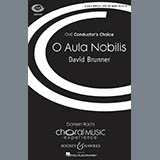David Brunner 'O Aula Nobilis' SATB Choir
