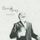 David Gray 'Forgetting' Piano, Vocal & Guitar Chords