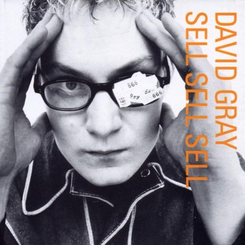 Easily Download David Gray Printable PDF piano music notes, guitar tabs for  Guitar Chords/Lyrics. Transpose or transcribe this score in no time - Learn how to play song progression.