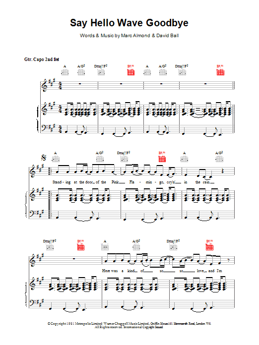David Gray Say Hello, Wave Goodbye sheet music notes and chords arranged for Piano, Vocal & Guitar Chords