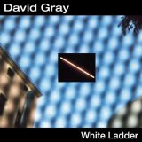 David Gray 'This Year's Love' Flute Solo
