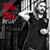 David Guetta 'What I Did For Love (featuring Emeli Sande)' Piano, Vocal & Guitar Chords