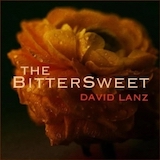 David Lanz 'The Bittersweet' Piano Solo