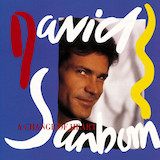 David Sanborn 'A Change Of Heart' Alto Sax Transcription