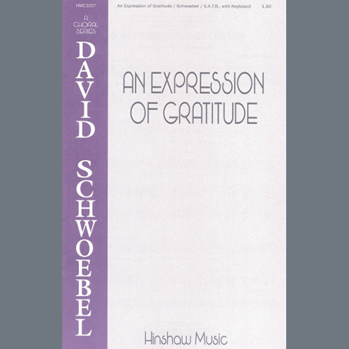 Easily Download David Schwoebel Printable PDF piano music notes, guitar tabs for  SATB Choir. Transpose or transcribe this score in no time - Learn how to play song progression.