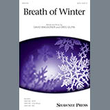 David Waggoner & Greg Gilpin 'Breath Of Winter' SSA Choir