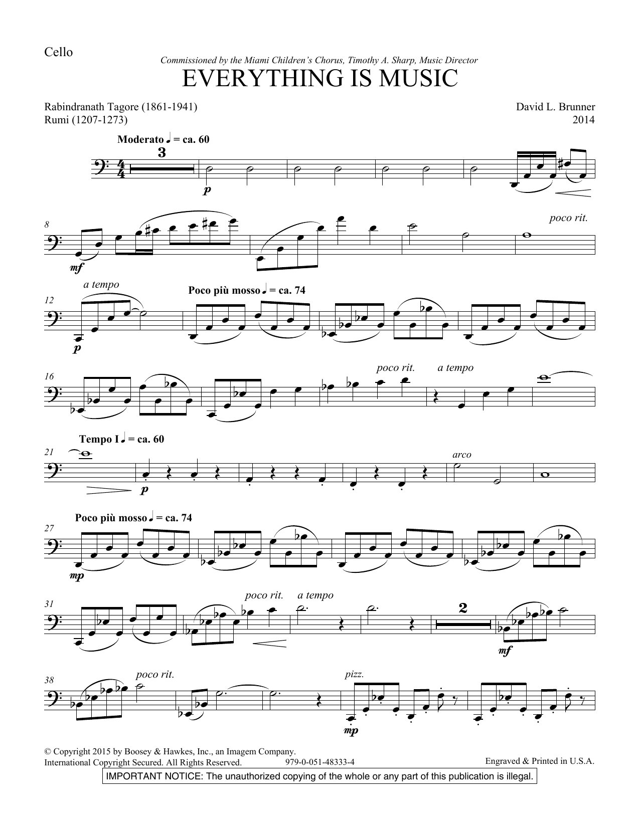 David Brunner Everything Is Music - Cello sheet music notes and chords arranged for Choir Instrumental Pak