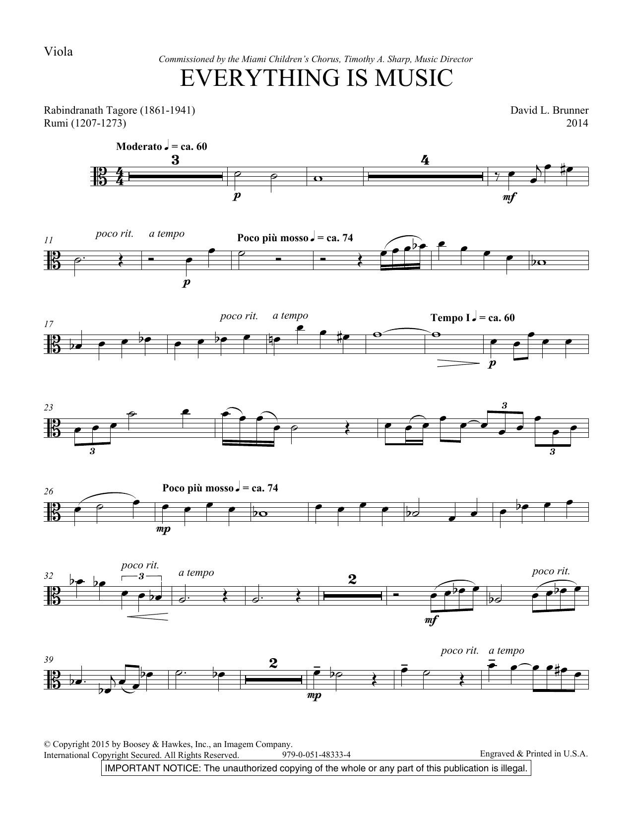 David Brunner Everything Is Music - Viola sheet music notes and chords arranged for Choir Instrumental Pak