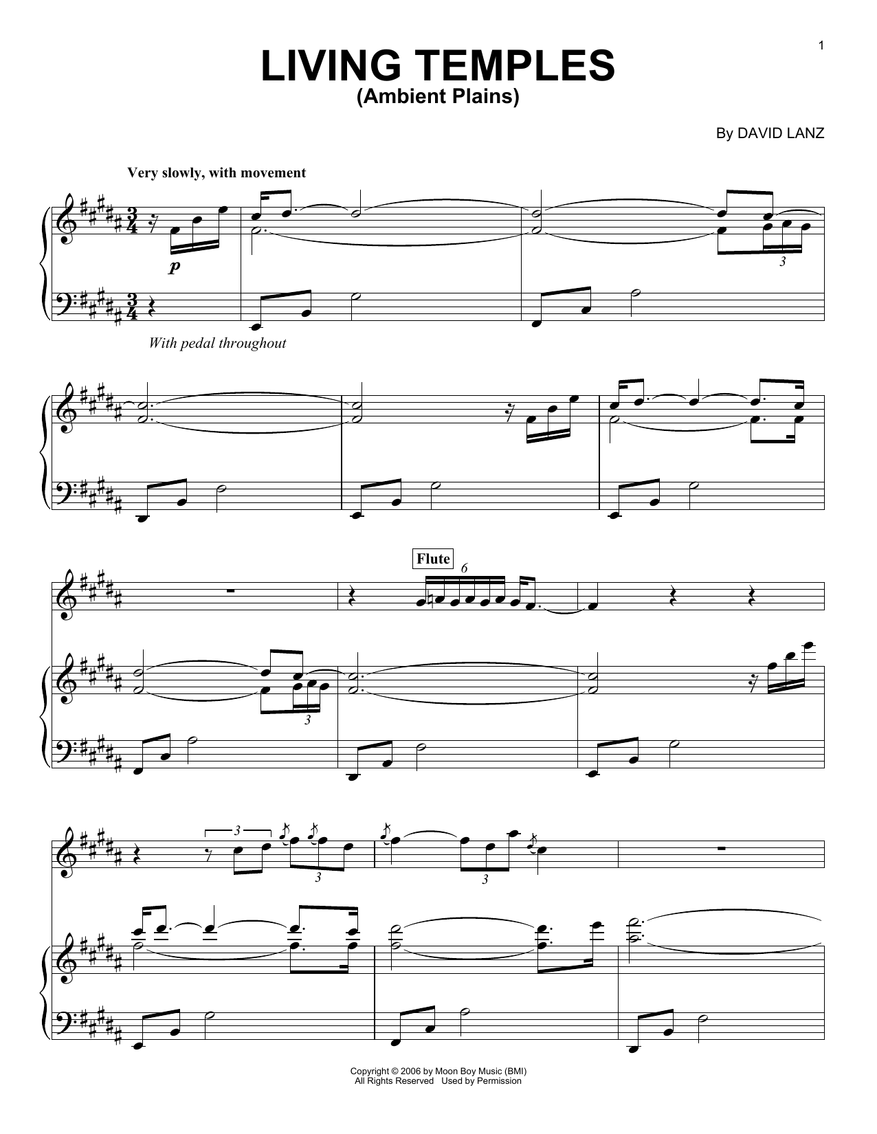 David Lanz & Gary Stroutsos Living Temples (Ambient Plains) sheet music notes and chords arranged for Piano Solo