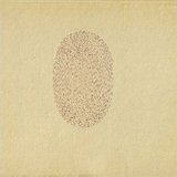 Devendra Banhart 'At The Hop' Guitar Tab