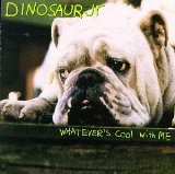 Dinosaur Jr. 'Not You Again' Guitar Tab