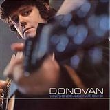 Donovan 'Catch The Wind' Piano Chords/Lyrics