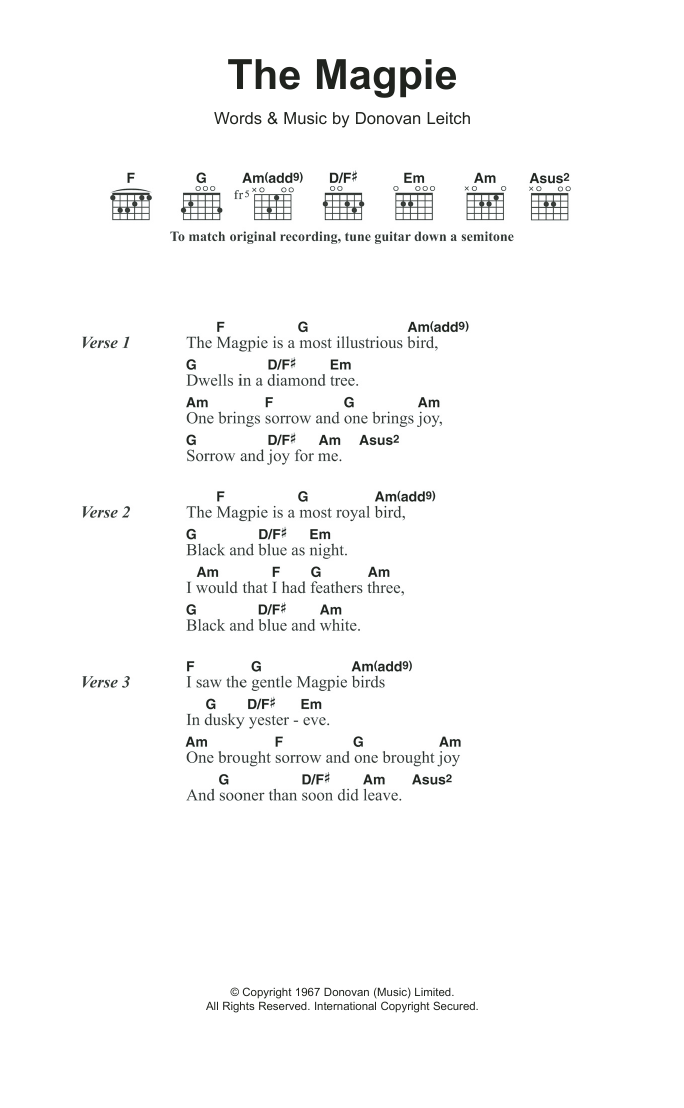 Donovan The Magpie sheet music notes and chords arranged for Guitar Chords/Lyrics