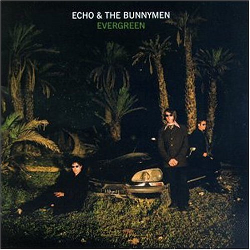 Easily Download Echo & The Bunnymen Printable PDF piano music notes, guitar tabs for  Guitar Chords/Lyrics. Transpose or transcribe this score in no time - Learn how to play song progression.