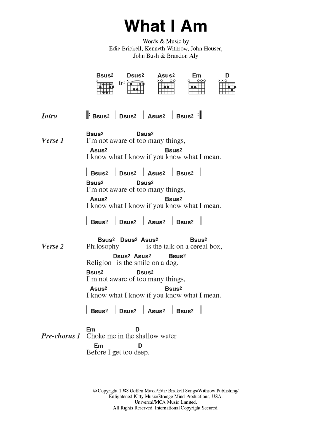 Edie Brickell What I Am sheet music notes and chords arranged for Guitar Chords/Lyrics