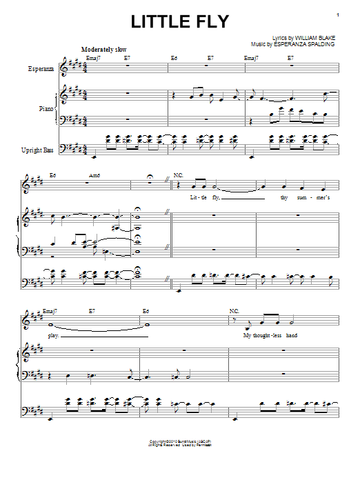 Esperanza Spalding Little Fly sheet music notes and chords arranged for Piano & Vocal