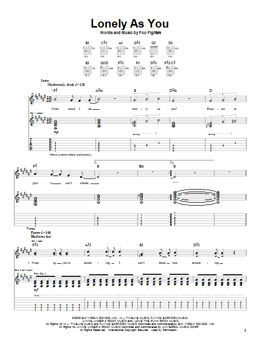 Foo Fighters Lonely As You sheet music notes and chords arranged for Guitar Tab