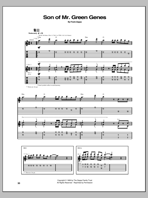 Frank Zappa Son Of Mr. Green Genes sheet music notes and chords arranged for Guitar Tab