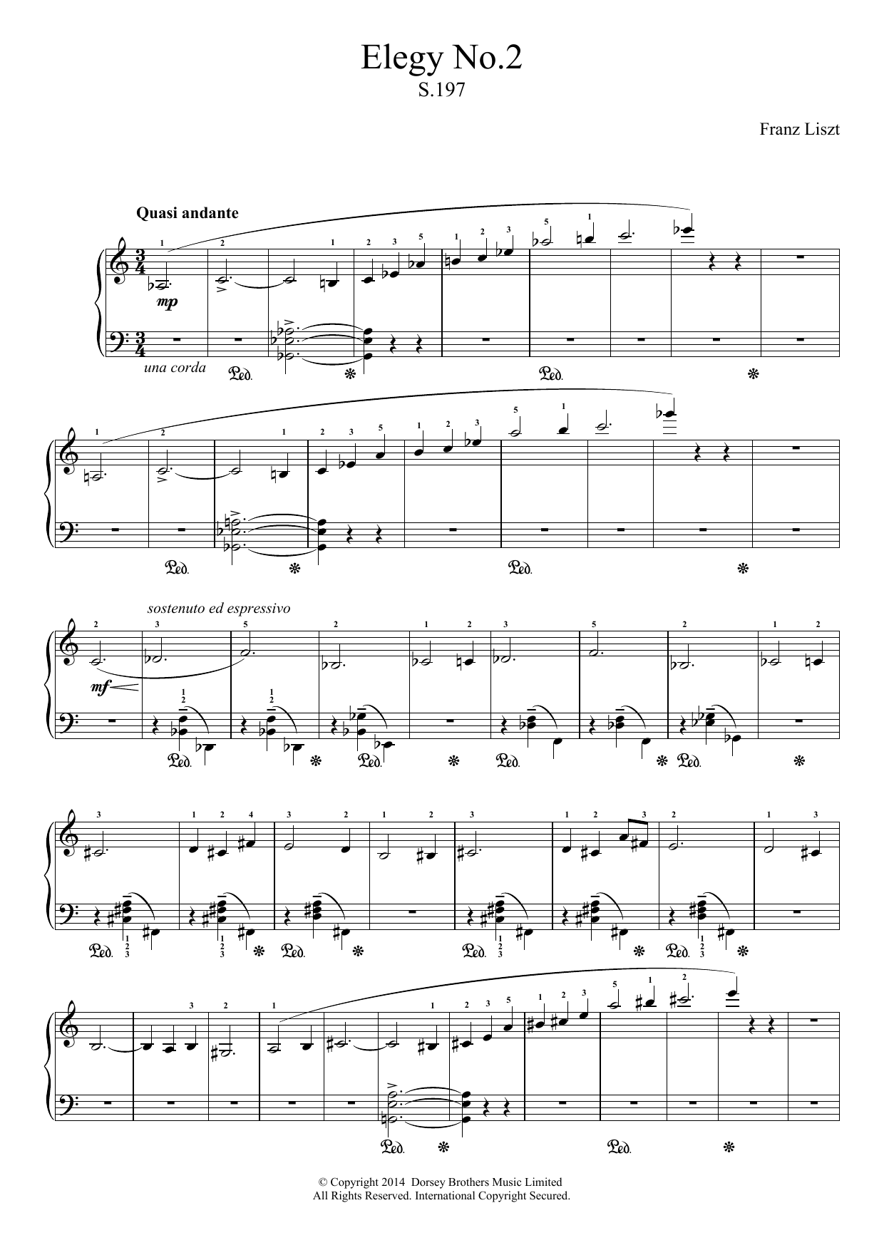 Franz Liszt Elegy No.2 sheet music notes and chords arranged for Piano Solo