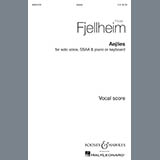 Frode Fjellheim 'Aejlies' SSA Choir