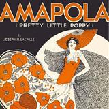 Gary Meisner 'Amapola (Pretty Little Poppy)' Accordion